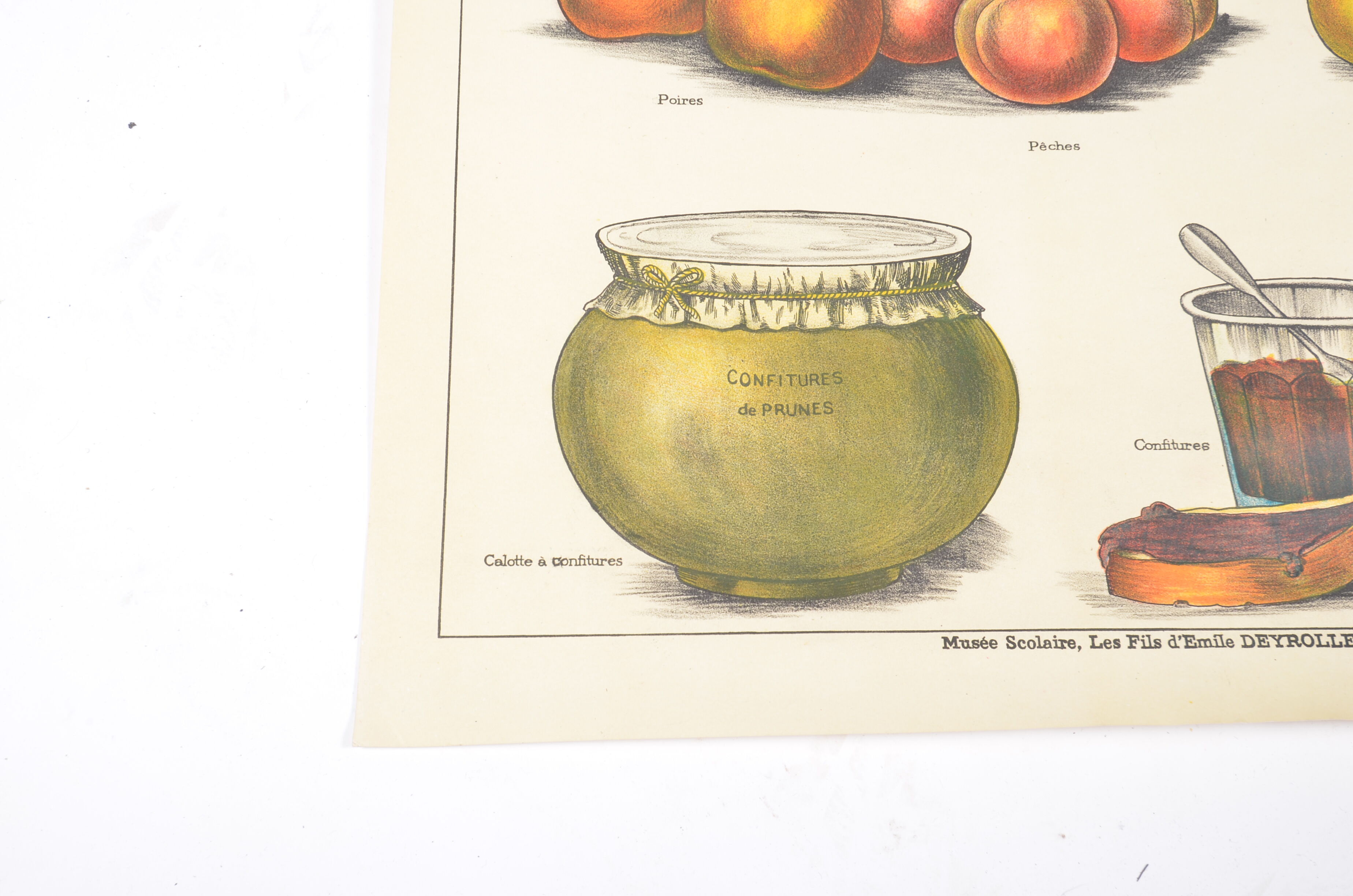 Poster Deyrolle "the compotes"