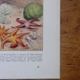Original lithograph on oceanography