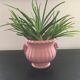 Pink pot cache