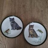 Porcelain cat decorative plates