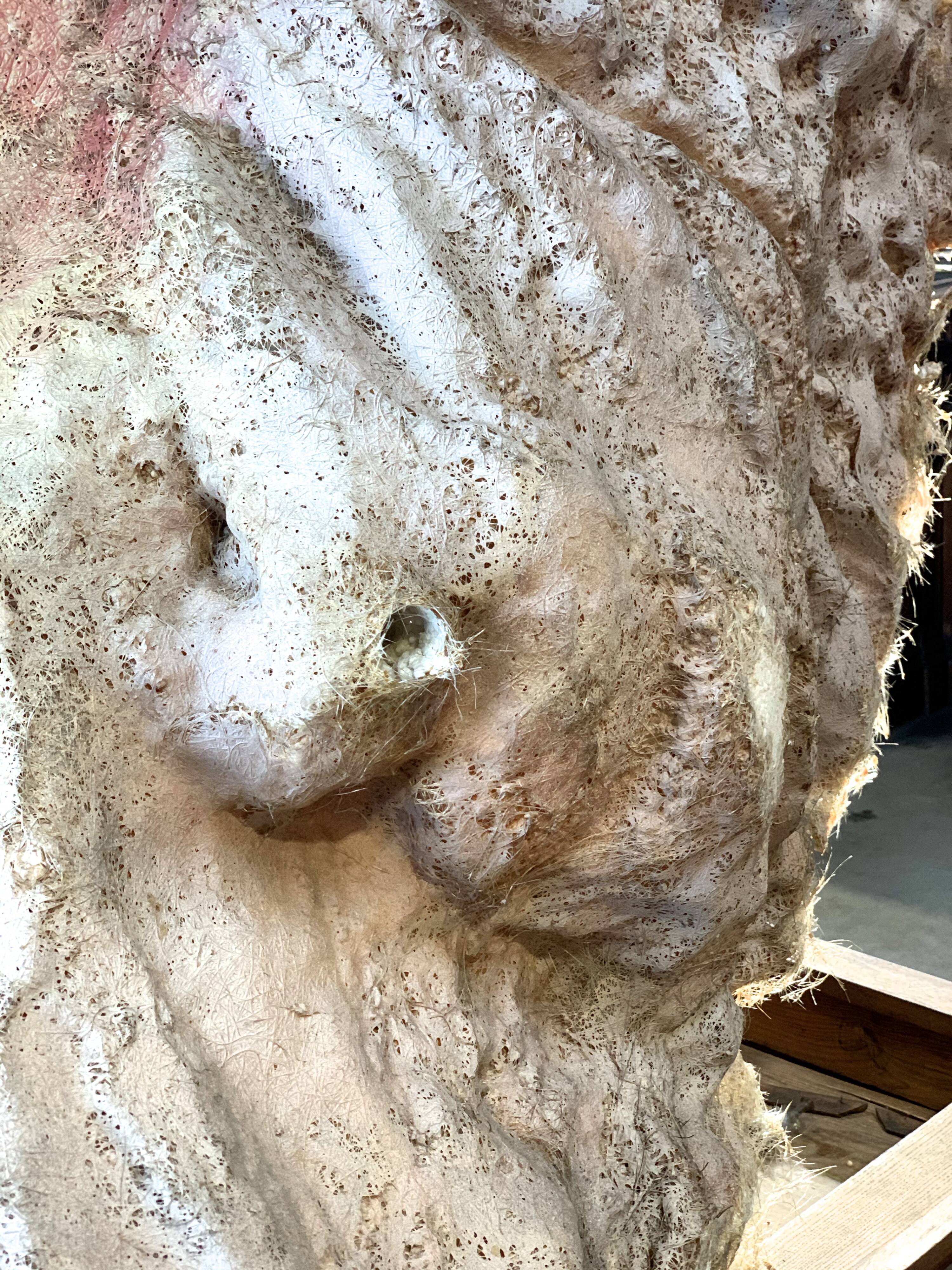 Head decoration santa claus