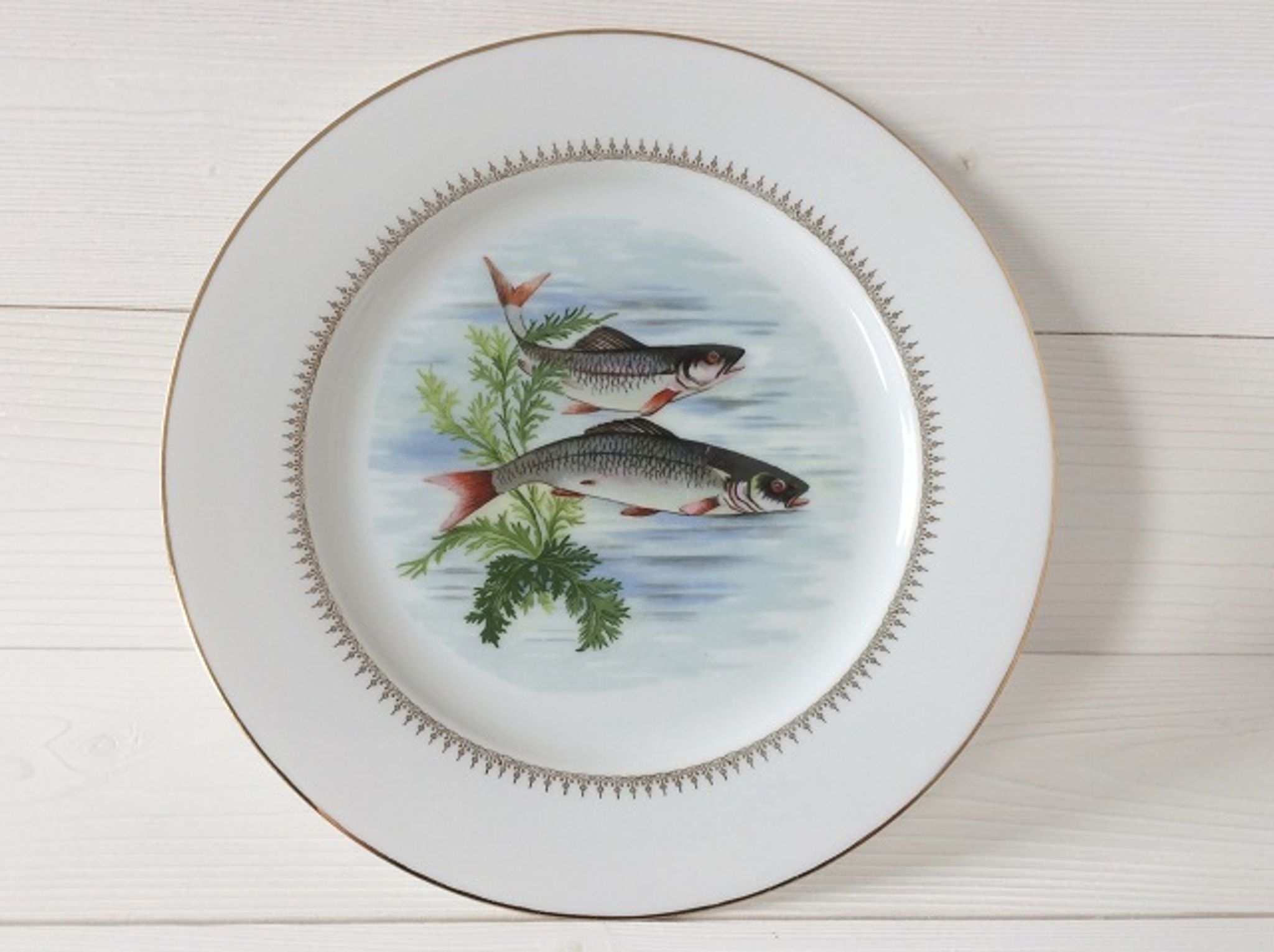 Lot 6 old fish plates, Sofafils porcelain