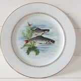 Lot 6 assiettes à poisson anciennes, porcelaine Sofafils