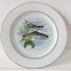 Lot 6 old fish plates, Sofafils porcelain