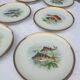 Set 12 plates porcelain fish edge laurel gold Bernardaud