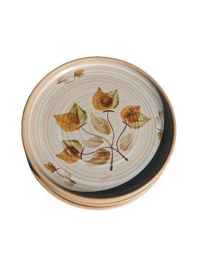 5 dinner plates and 5 small plates Niderviller model Doria