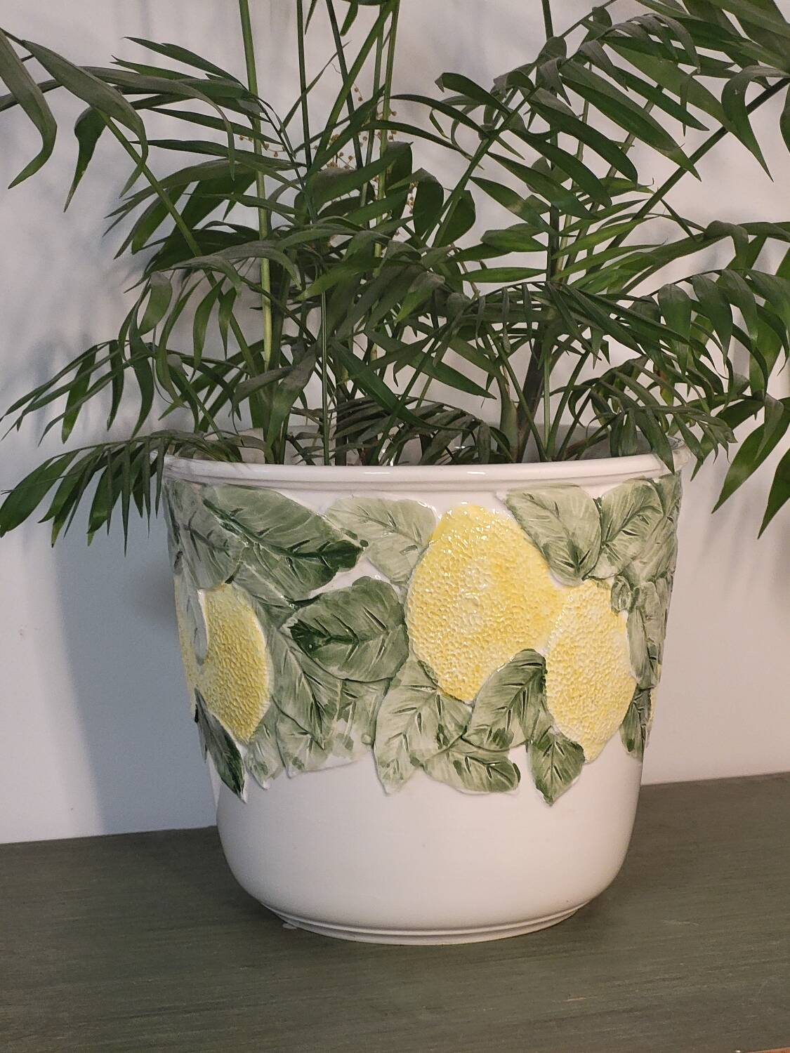 Lemon plant pot