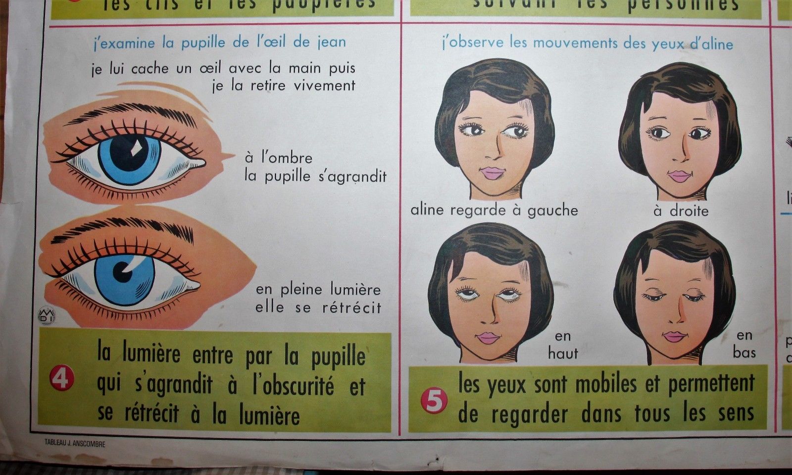 Affiche scolaire vintage MDI Nos dents et les yeux 19 et 20