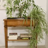 Indoor wooden planter. Ref blanchette