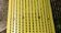 Banc vintage en métal jaune