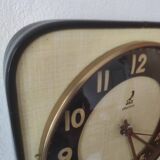 Formica pendulum