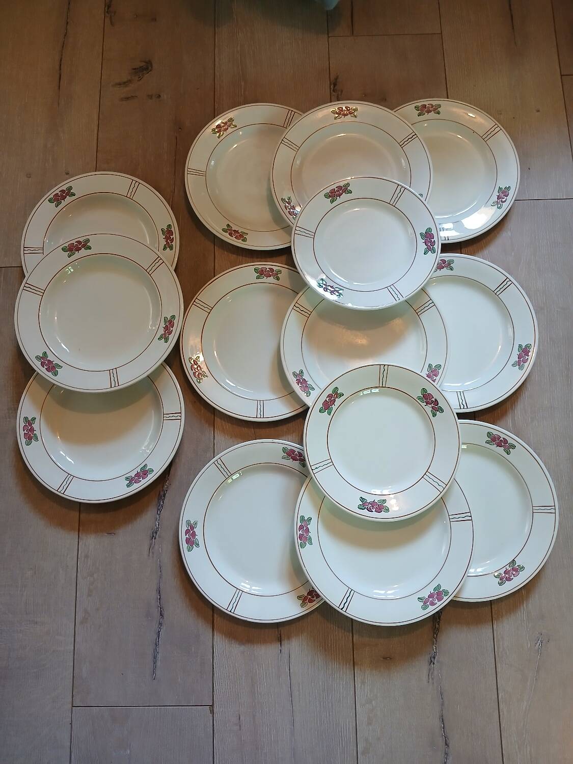 14 Terre de fer SALINS "Water Lily" plates