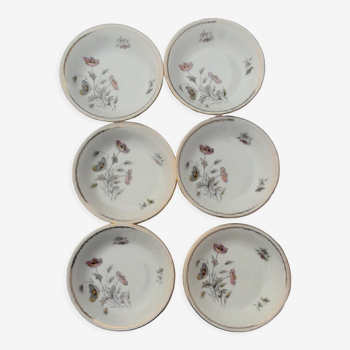 6 hollow plates in fine porcelain enamel Limoges diam 21 cm