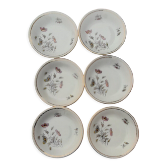6 hollow plates in fine porcelain enamel Limoges diam 21 cm