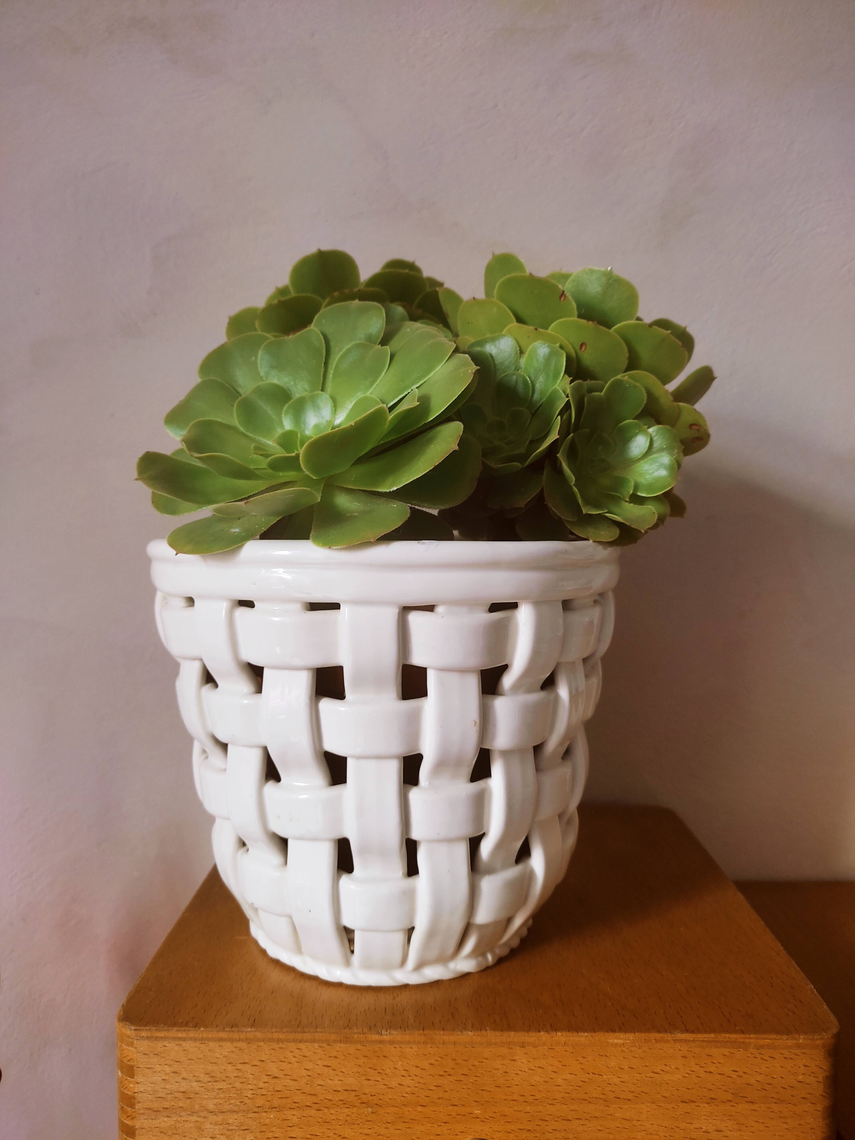 Braided earthenware pot pot cover