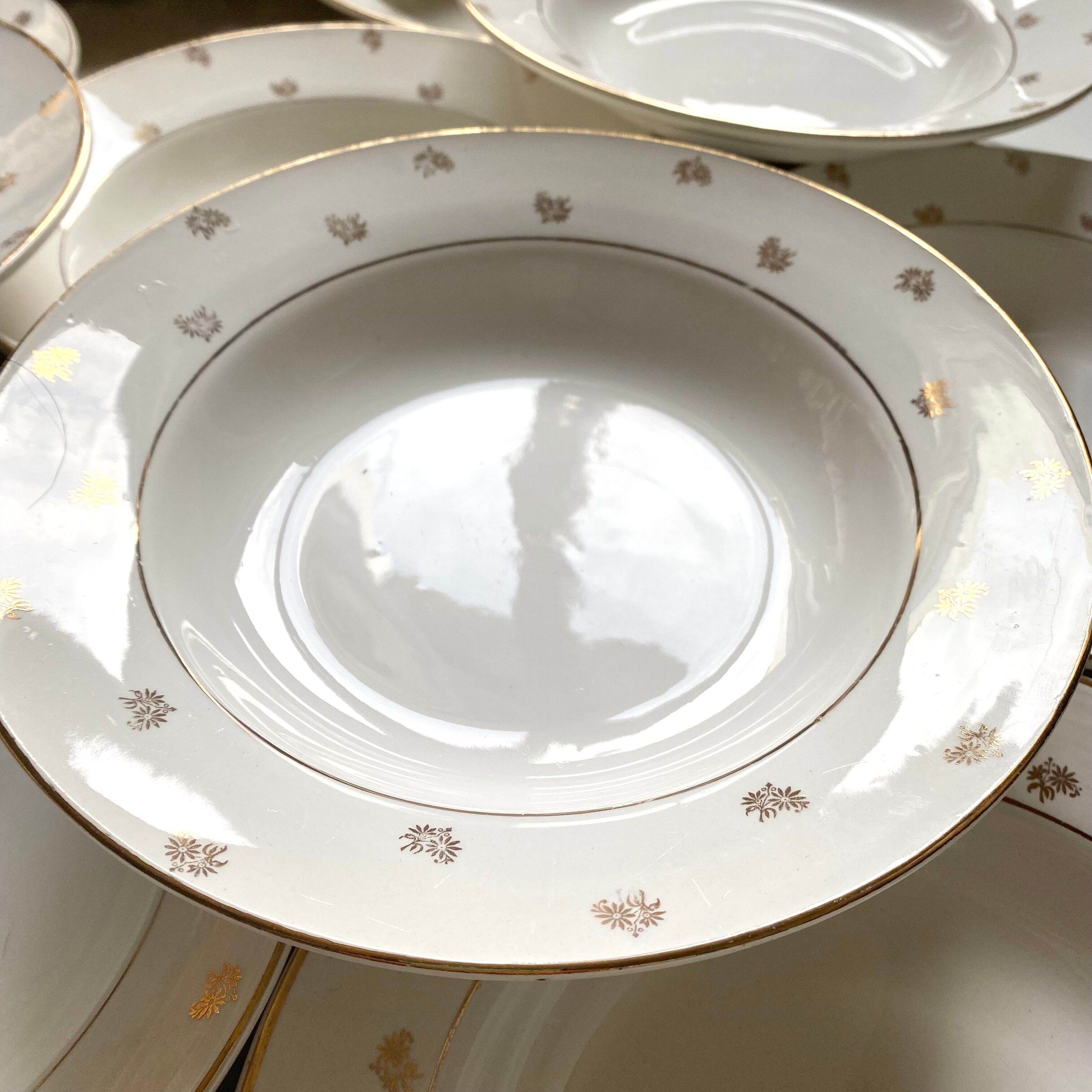 Digoin Sarreguemines hollow plates 16