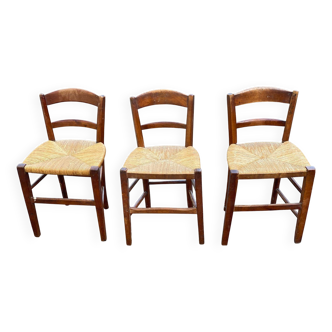 3 chaises bois massif paillées taille enfant