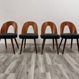 Dining Chairs by Antonin Suman, 1960s, Set of 4