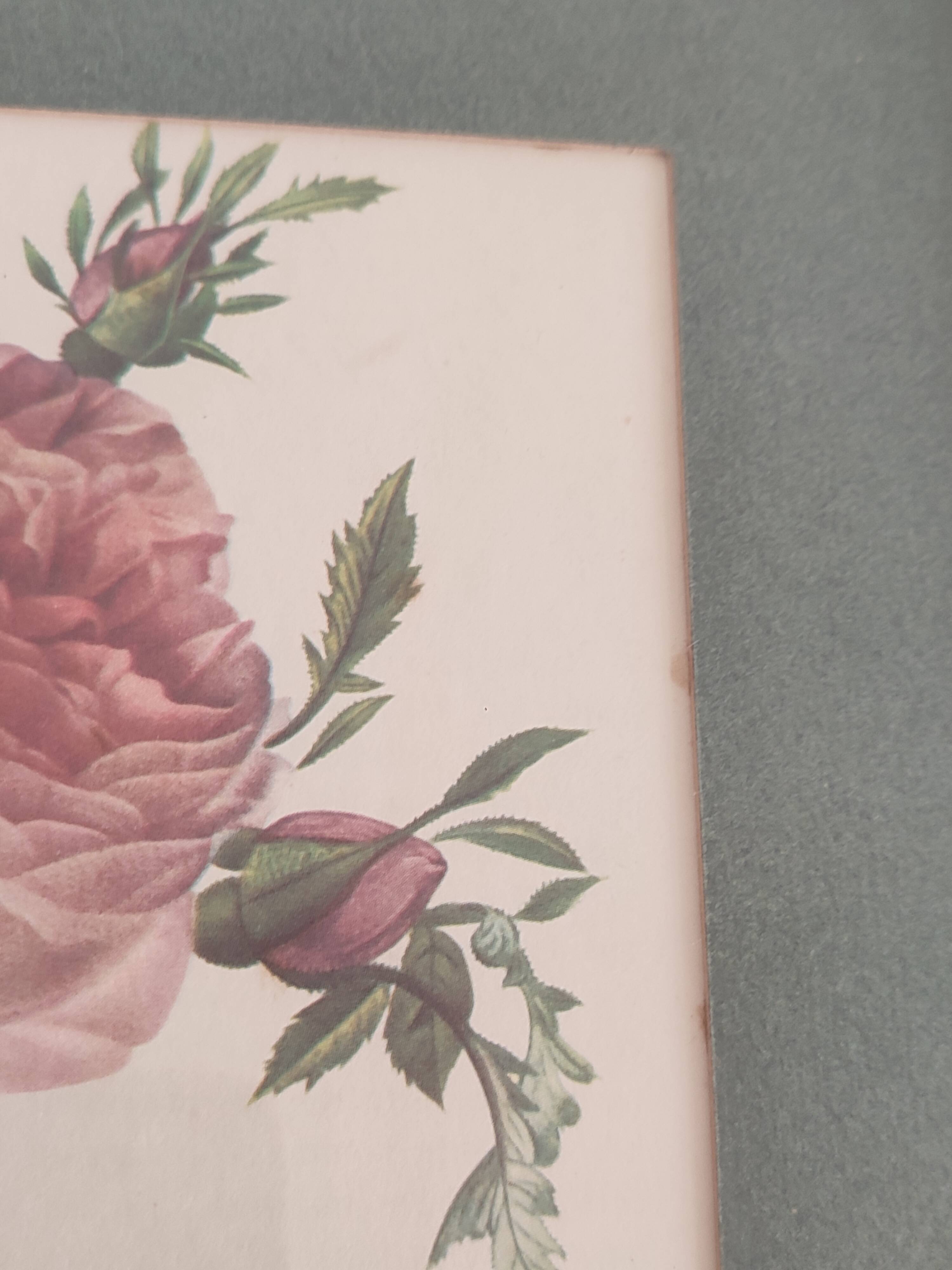 Dreaded Botanical Board