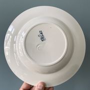 Set of 7 mismatched hollow plates Terre de Fer XIXth