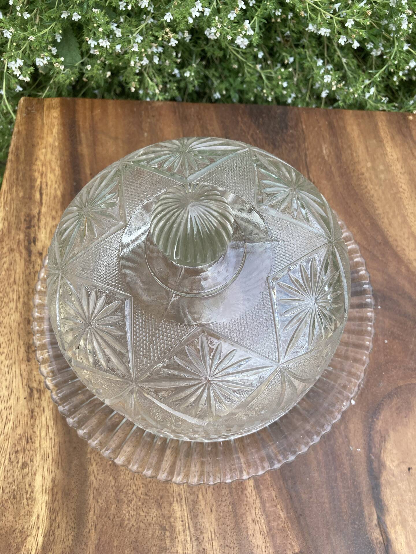 Pressed and moulded glass cheese dome