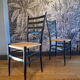 Paire de chaises italiennes Otto Gerdau