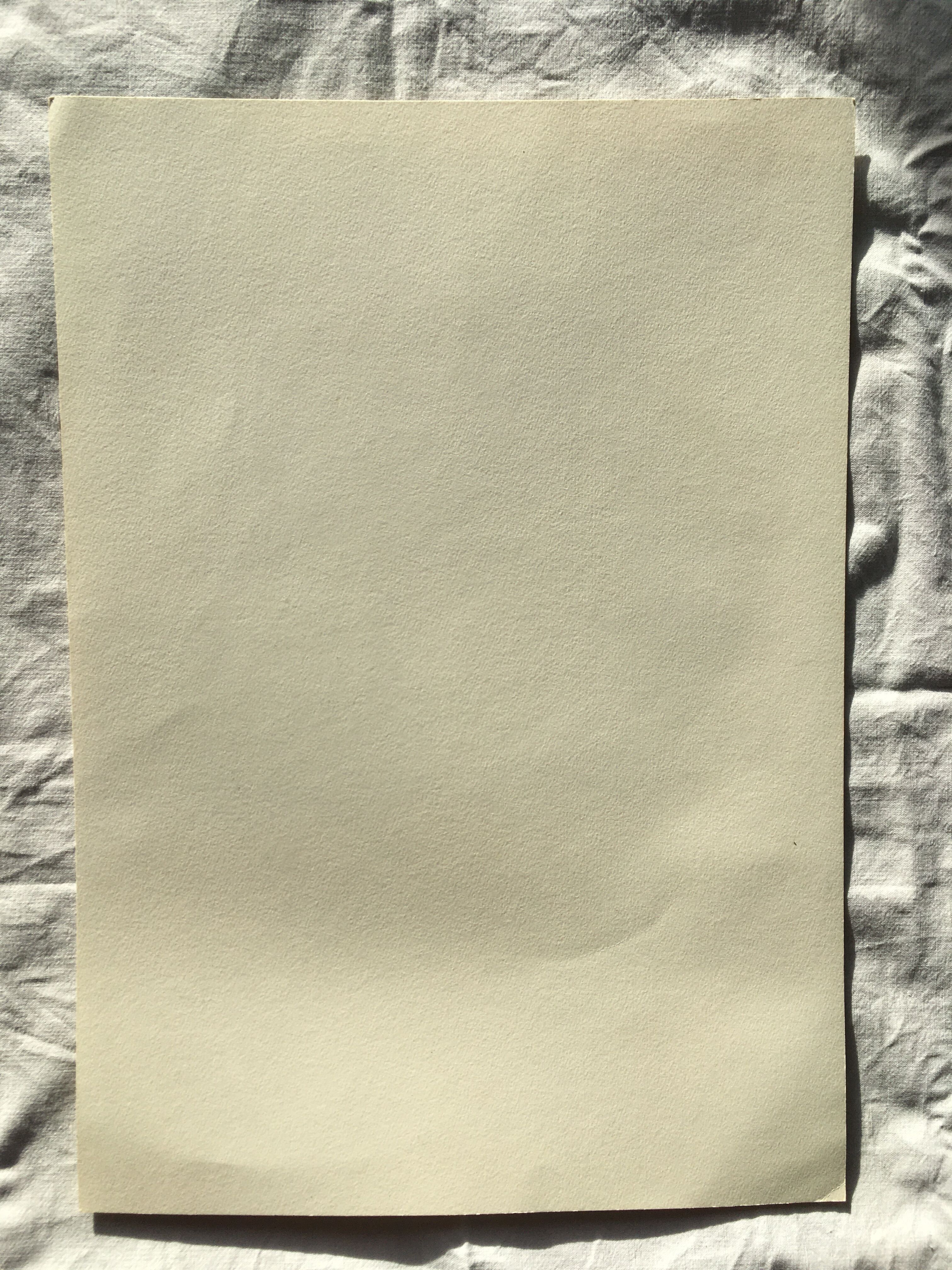 Portrait of a young woman in a beret