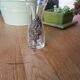 Vase with tin decoration