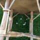 Rattan side table