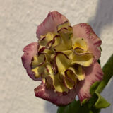 Paire appliques fleurs porcelaine