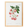 Poster about the Multiflora Rose, based on an old engraving from 1802