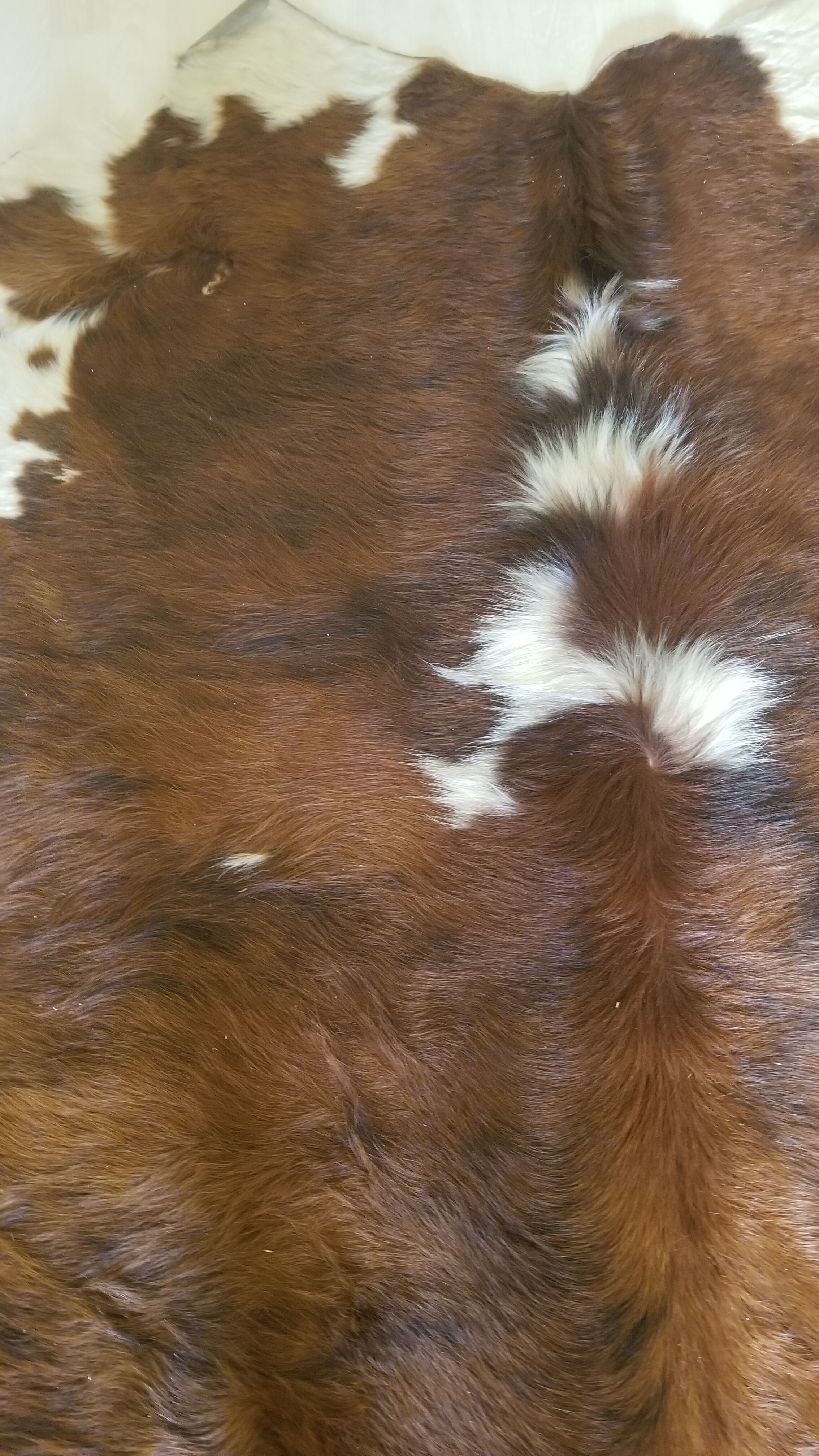 Cowhide