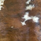 Cowhide