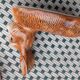 Terrine Caugant