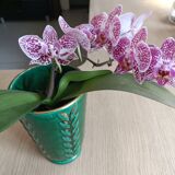 Vintage vase St Clément signed B. Letalle