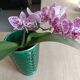 Vintage vase St Clément signed B. Letalle