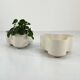 Wavy Planter La Fiorera White by Valenti, 1970s