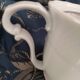Theiere porcelaine blanche.