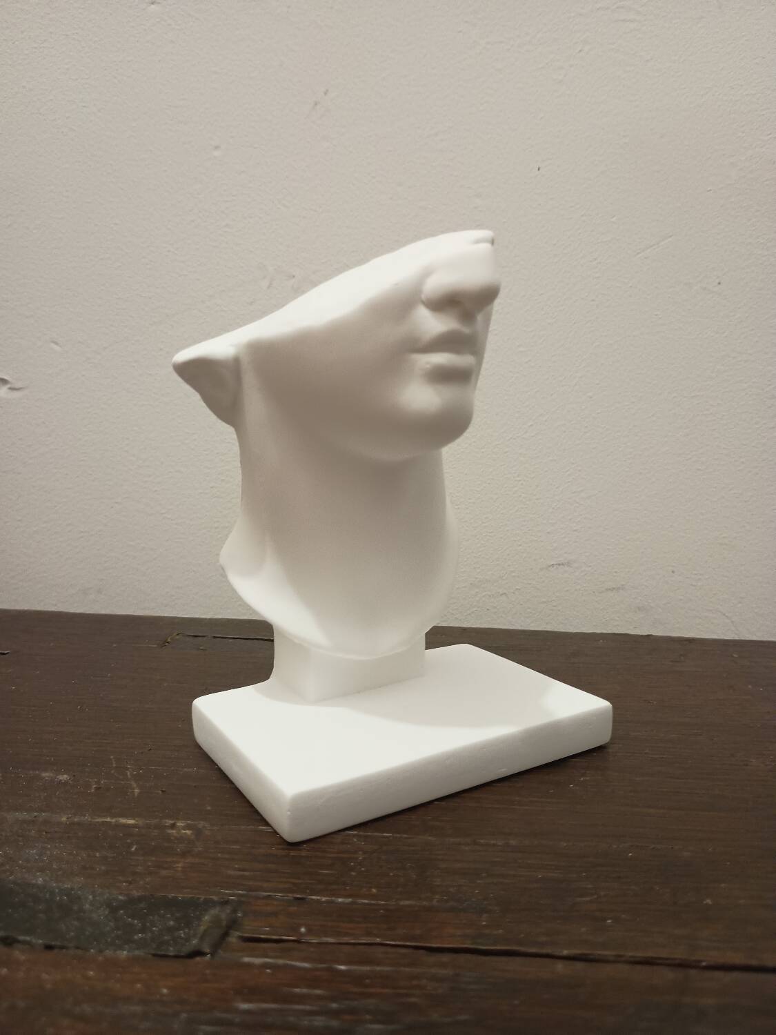 Tête en plâtre