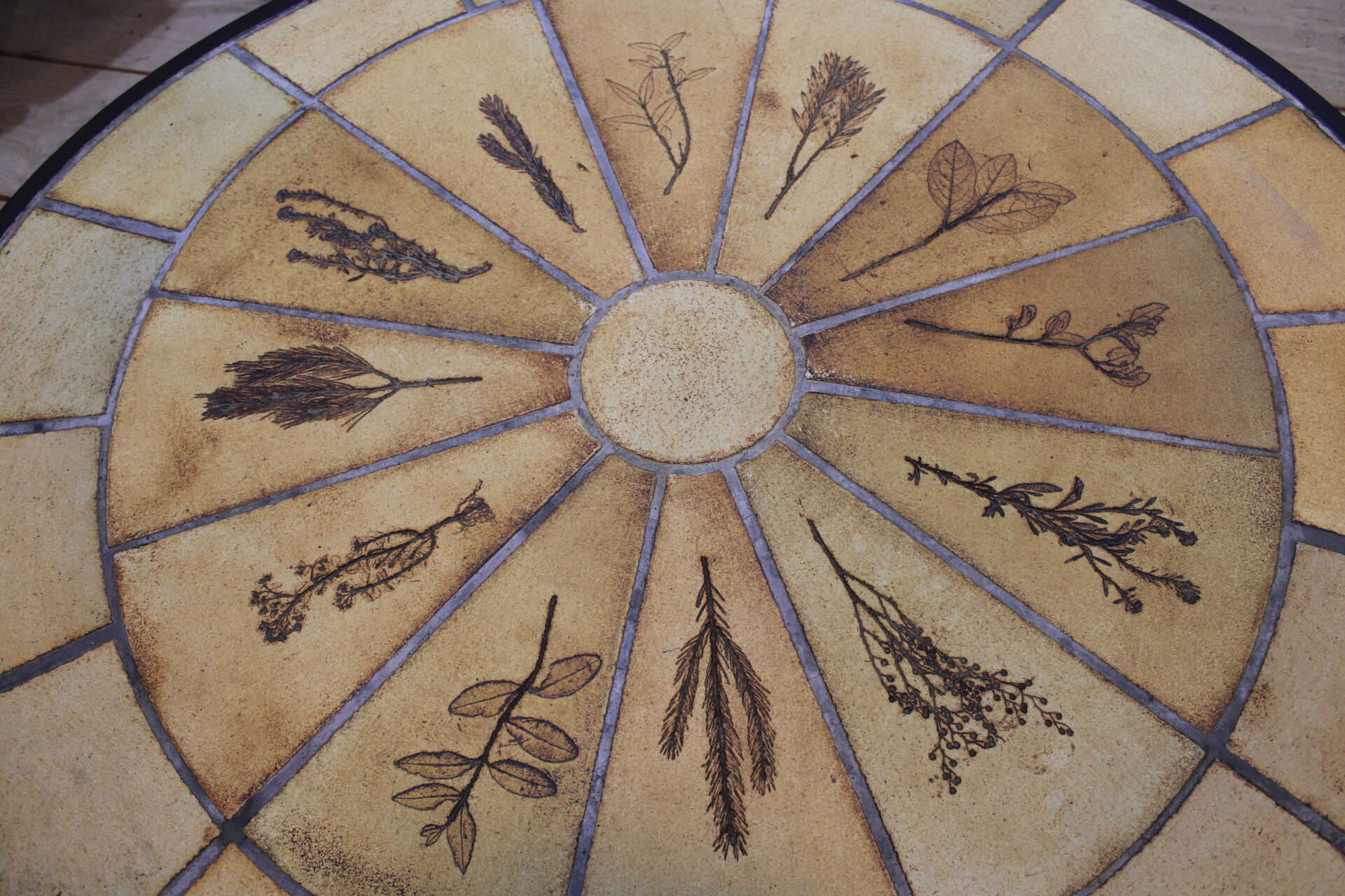 Roger Capron herbarium coffee table