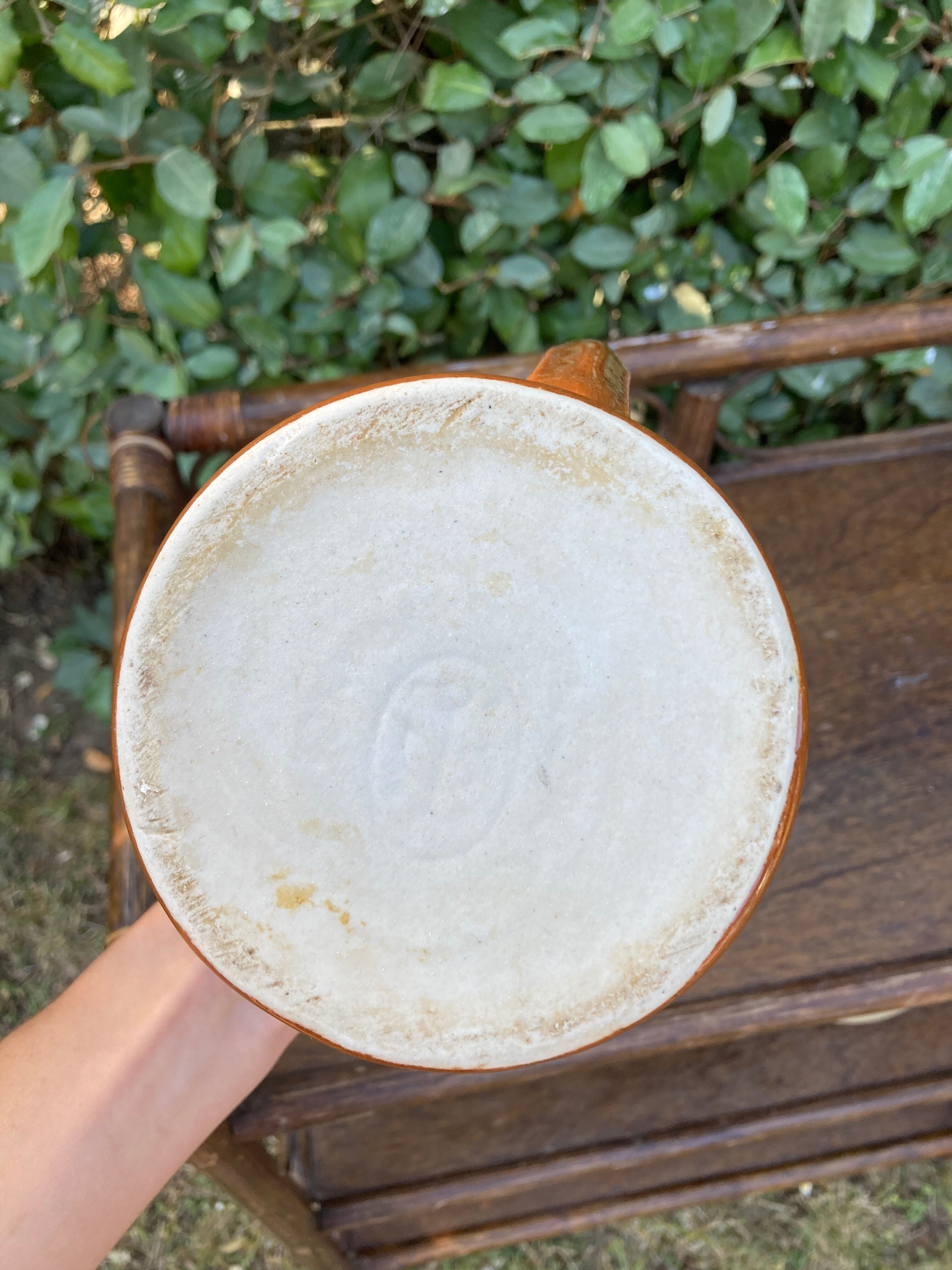 Small pitcher with brown water
