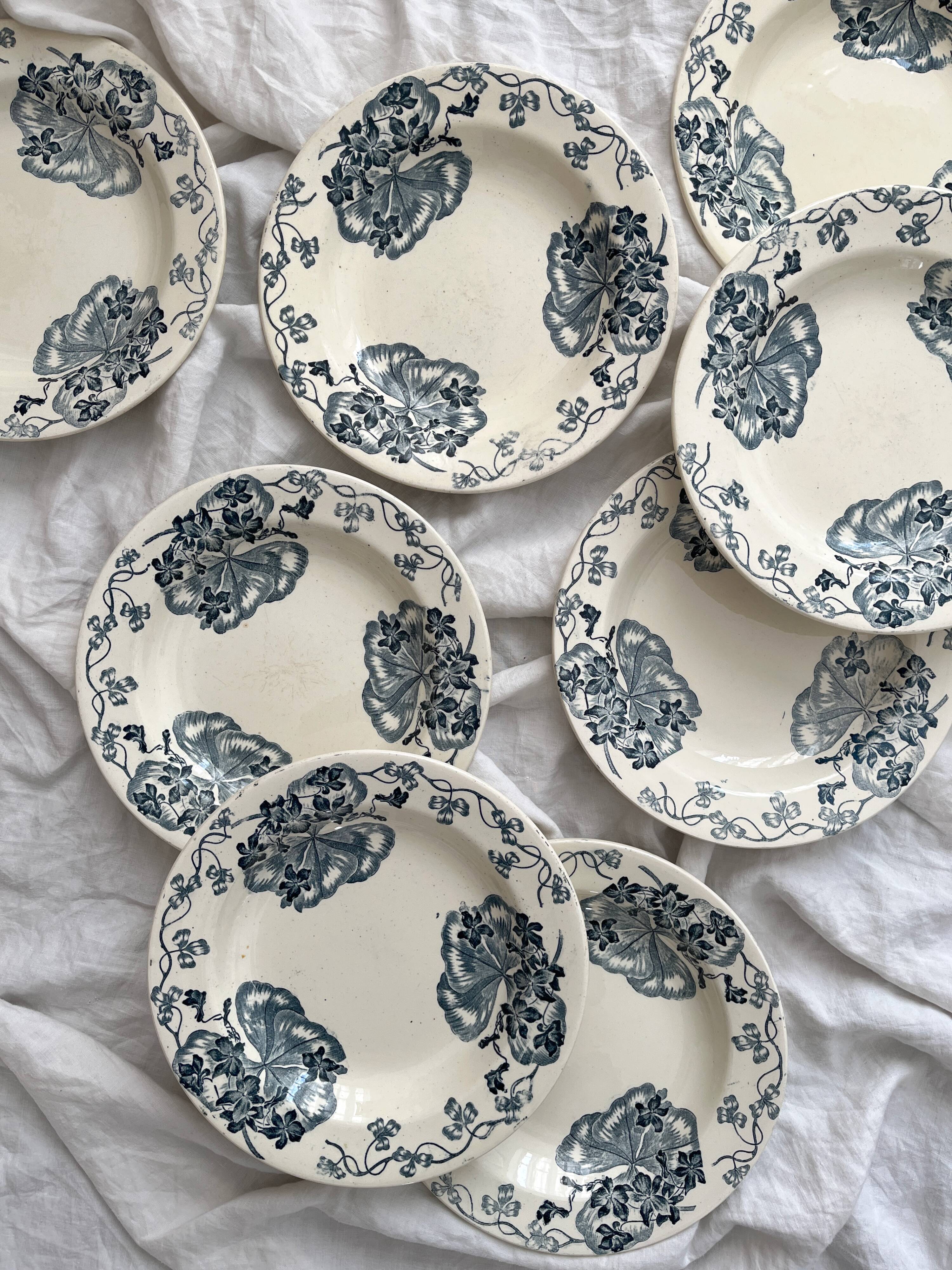 8 ironstone soup plates "Les Violettes" Salins