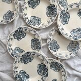 8 deep ironware plates "Les Violettes" Salins