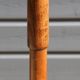 Dark BAUMANN parrot coat rack (A1)