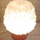 Vintage lamp brand delmas