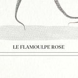 Chimera lithograph animal engraving - the pink flamoulpe