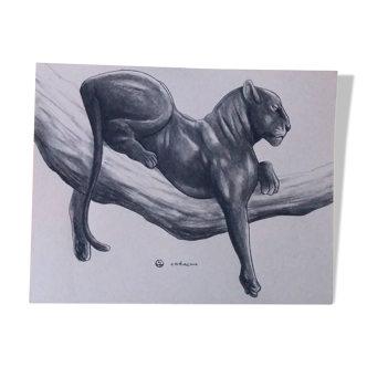 Art animalier Dessin de panthère noire branchée