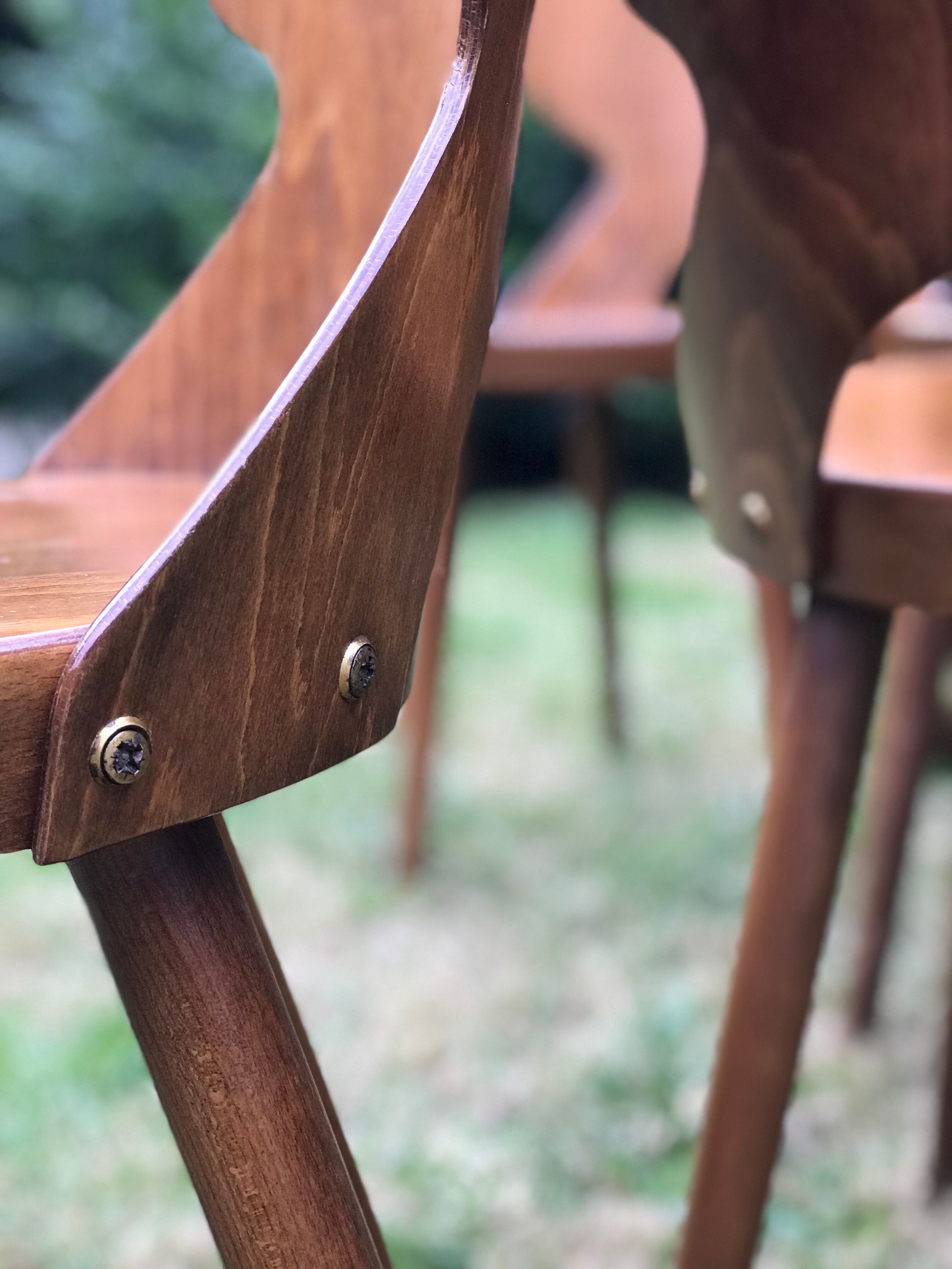 Set of 6 chairs Baumann signed model rare clover