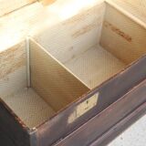 Large old curved trunk