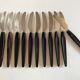 Set de 12 couteaux modernistes en palissandre 1960